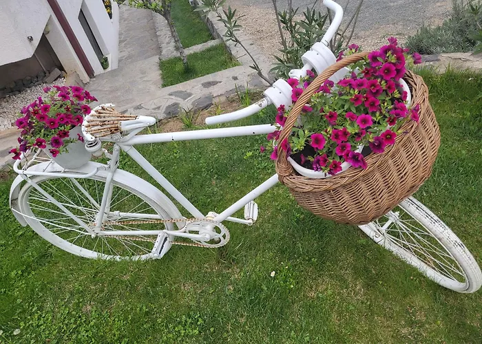 Belov Rooms And Apartments