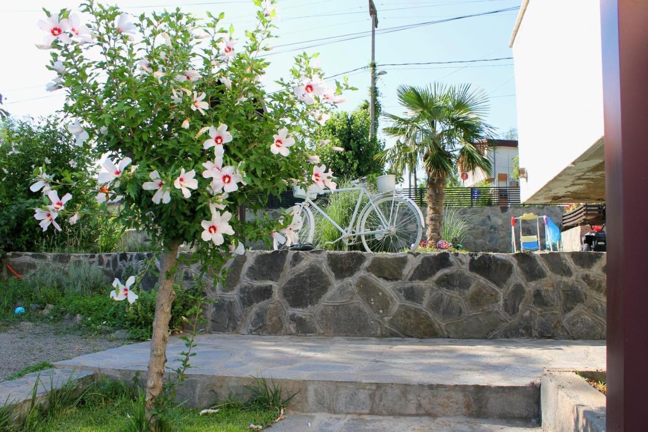 Belov And Apartment
