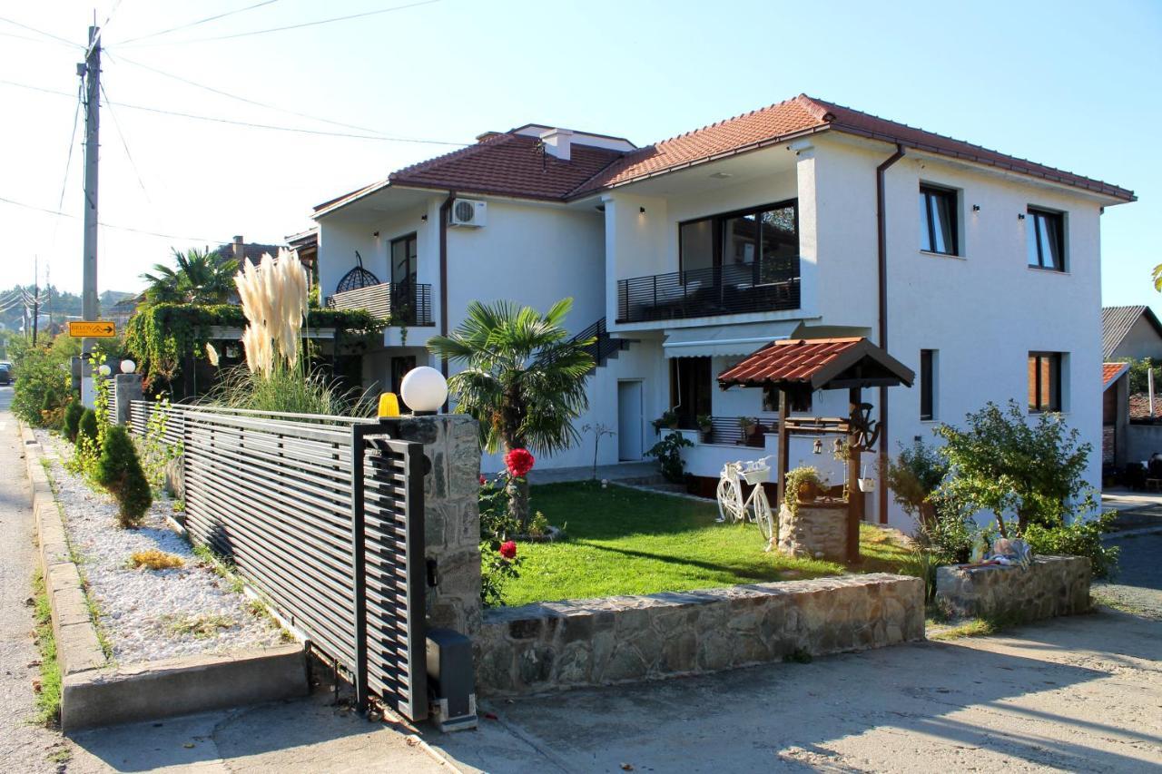 Belov And Apartment