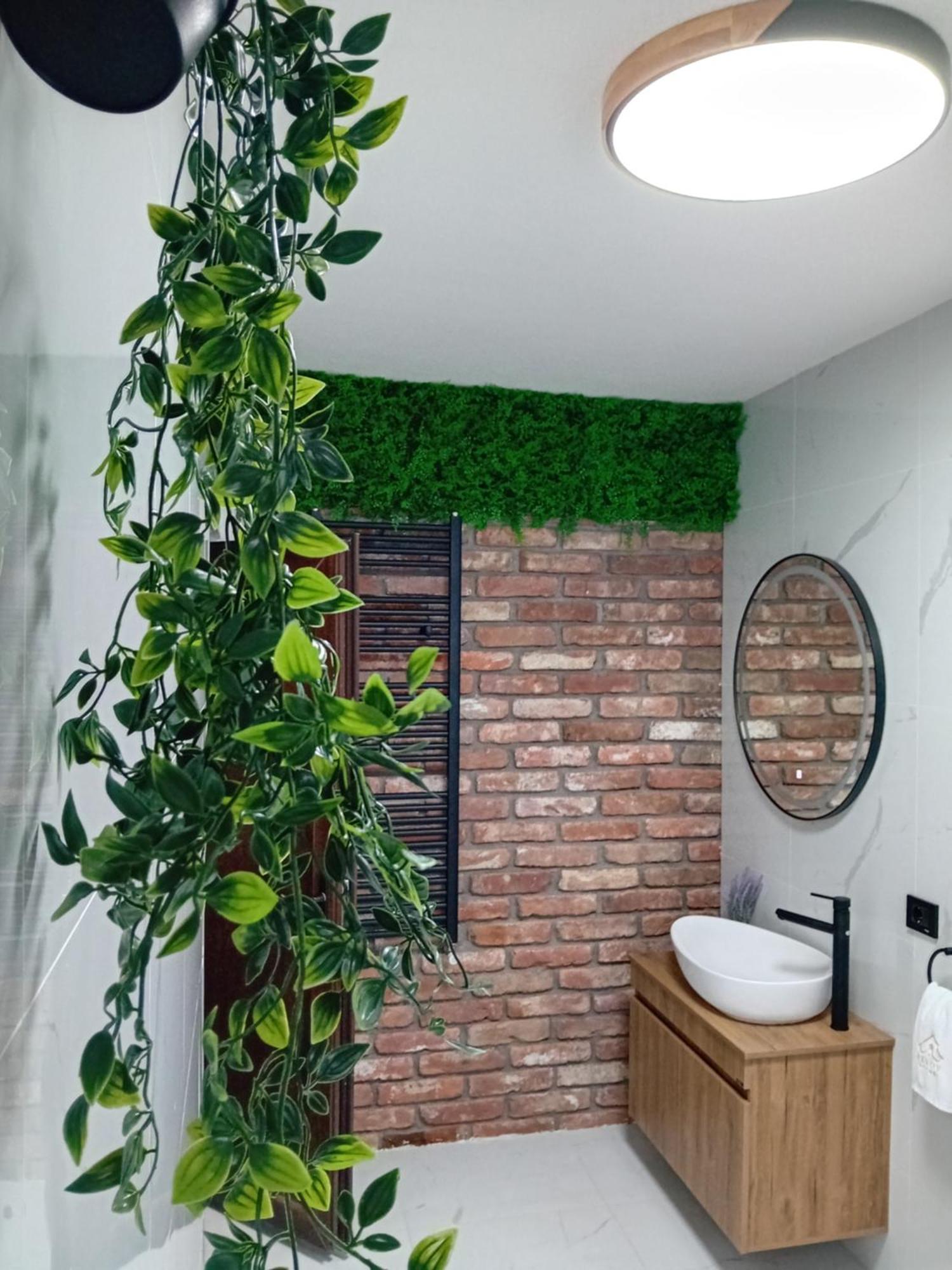 Belov And Apartment *