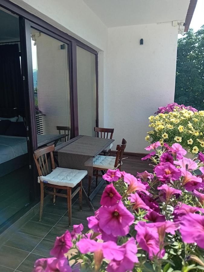 Belov And Apartment